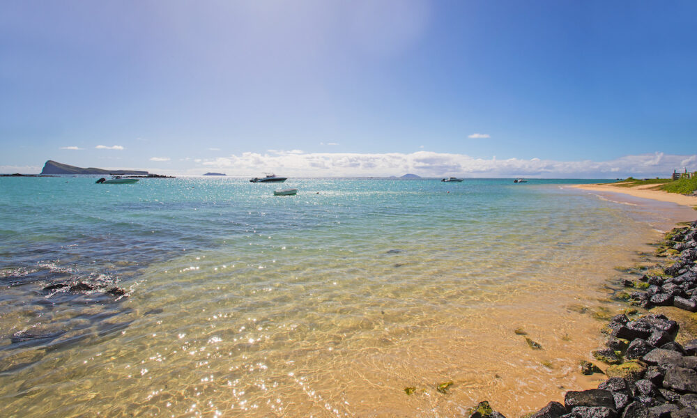 Koudesoley - 13 of 25