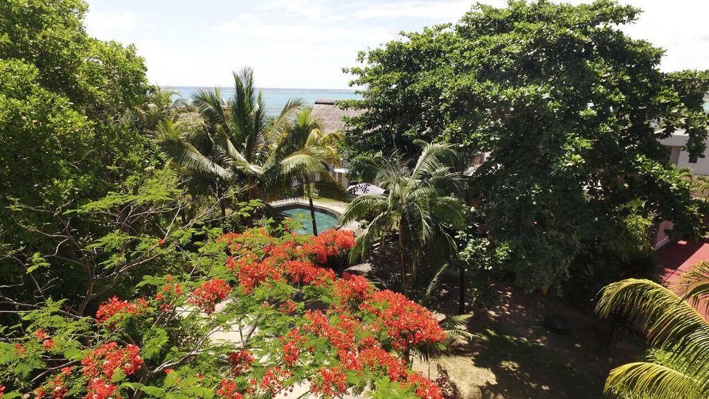 Villa-Virginia-garden